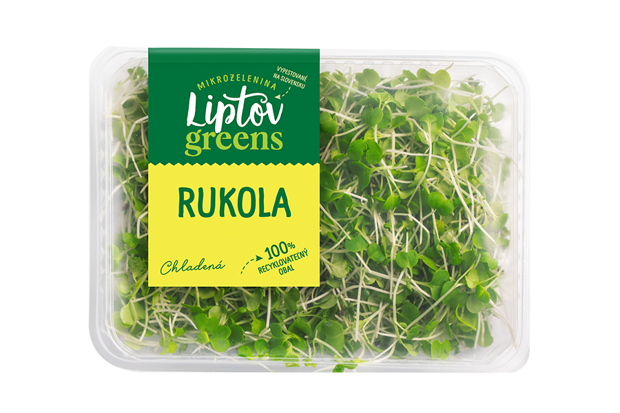 Rukola